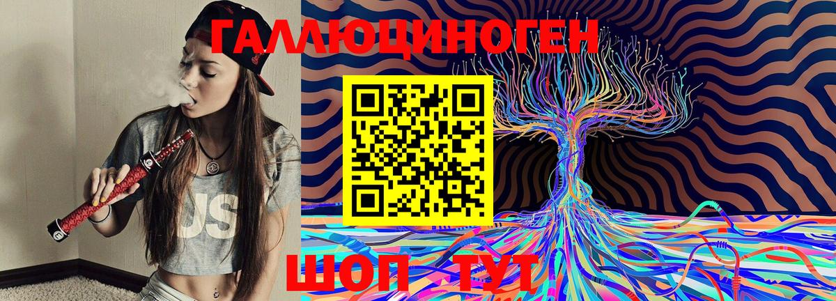 Тара  Псилоцибиновые грибы Magic Shrooms  Вход с VPN 